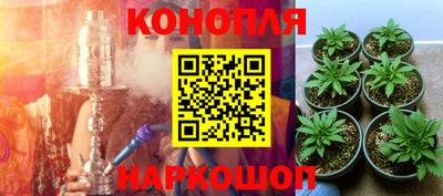 мдпв Уссурийск