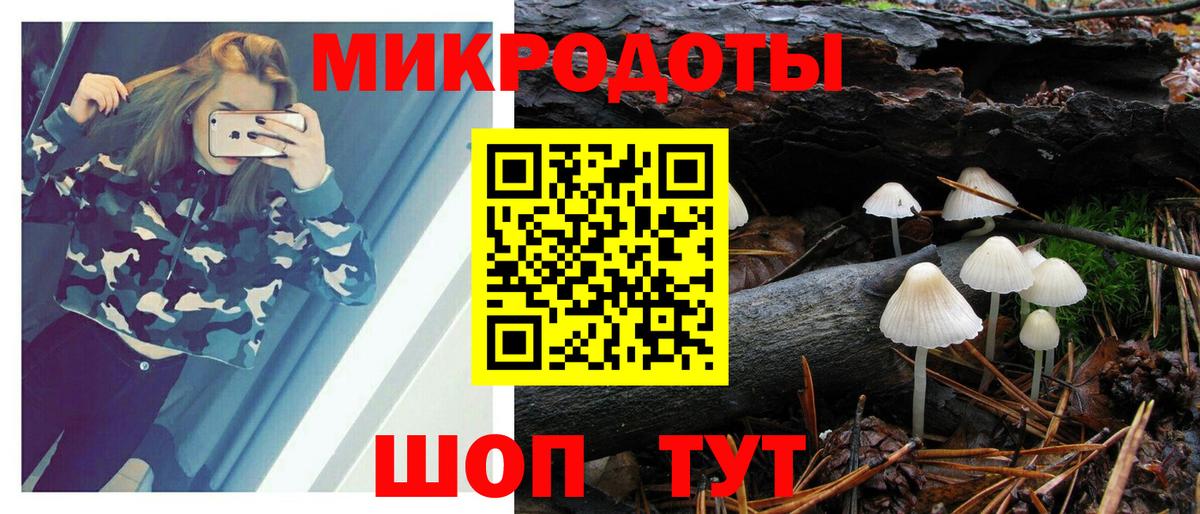 Псилоцибиновые грибы GOLDEN TEACHER Богданович